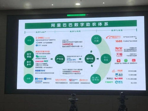 數字賦能 鏈動全球 中國農產品電商的崛起與數字內容服務新篇章